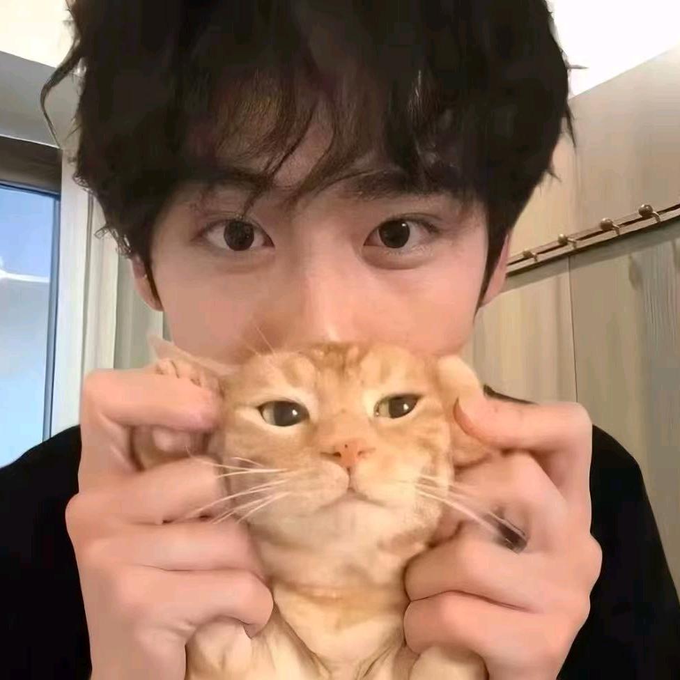 反杀润土的猹