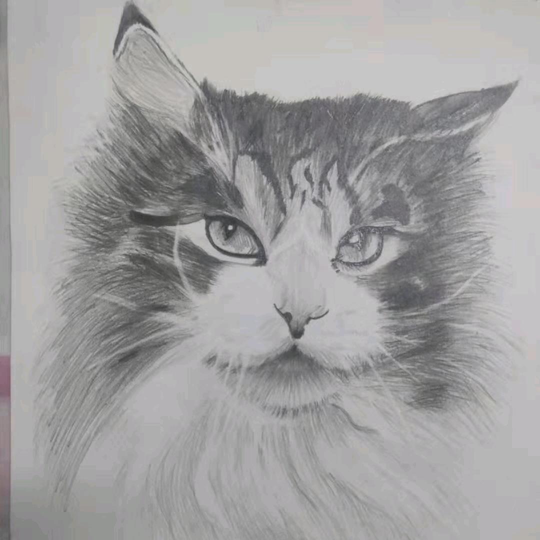 鑫★