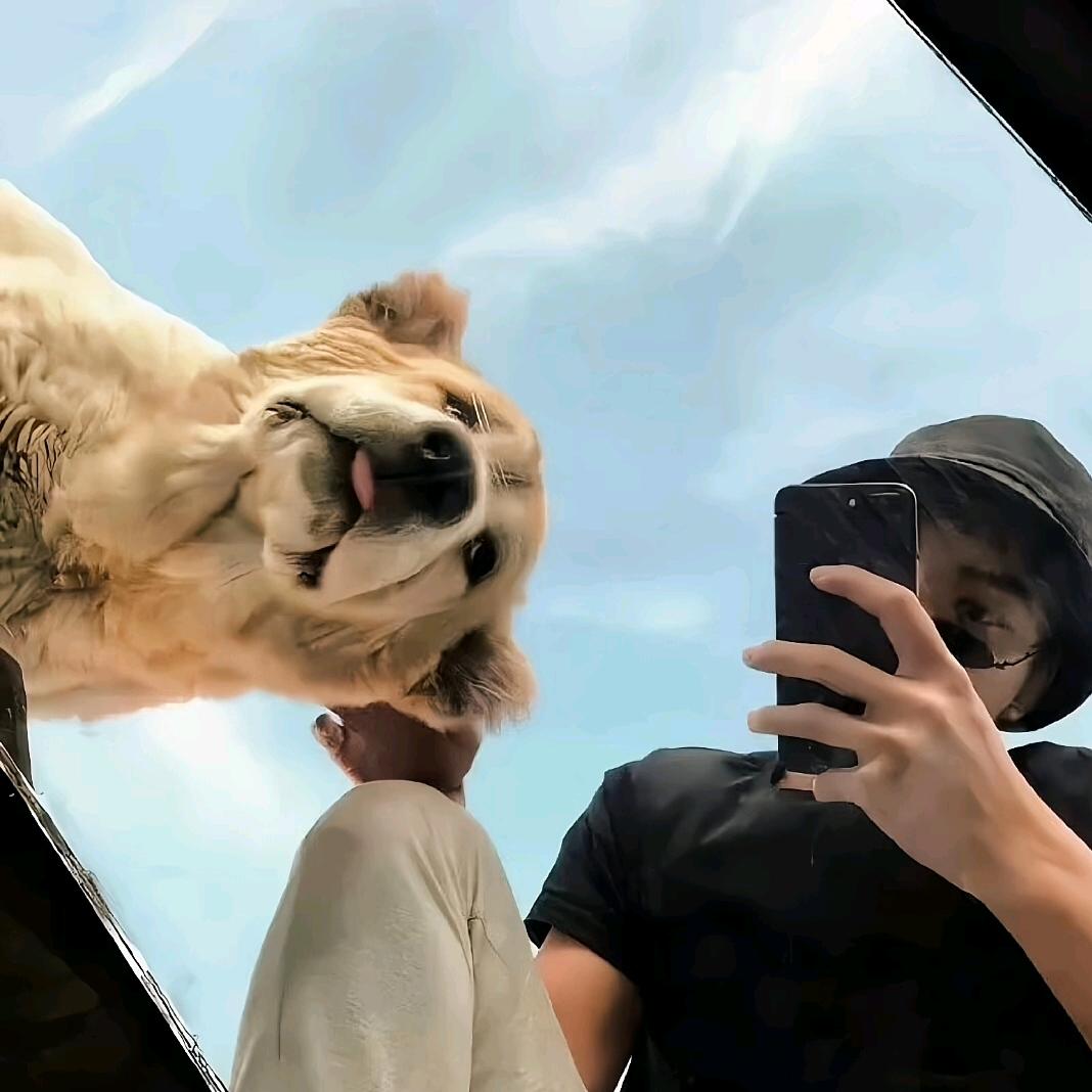 纸老虍；
