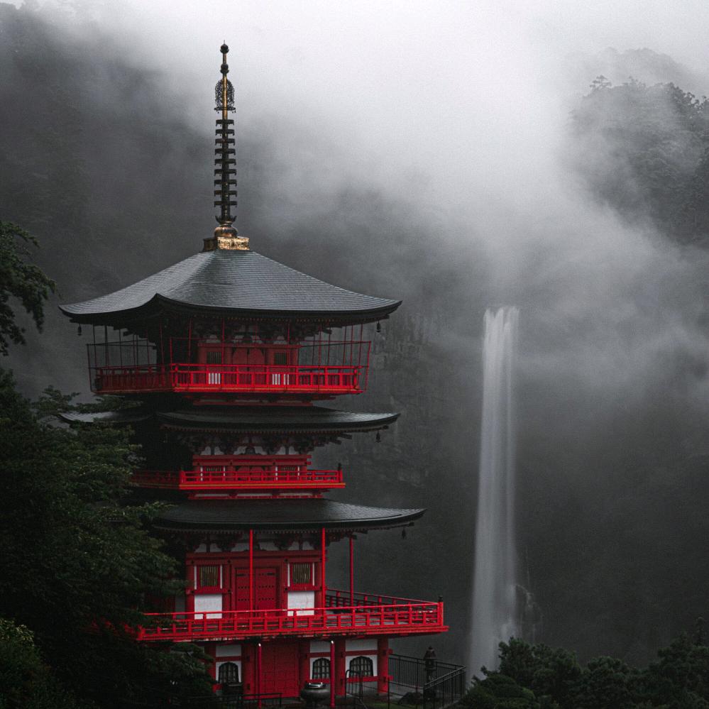 汇星行商务车+楚楚