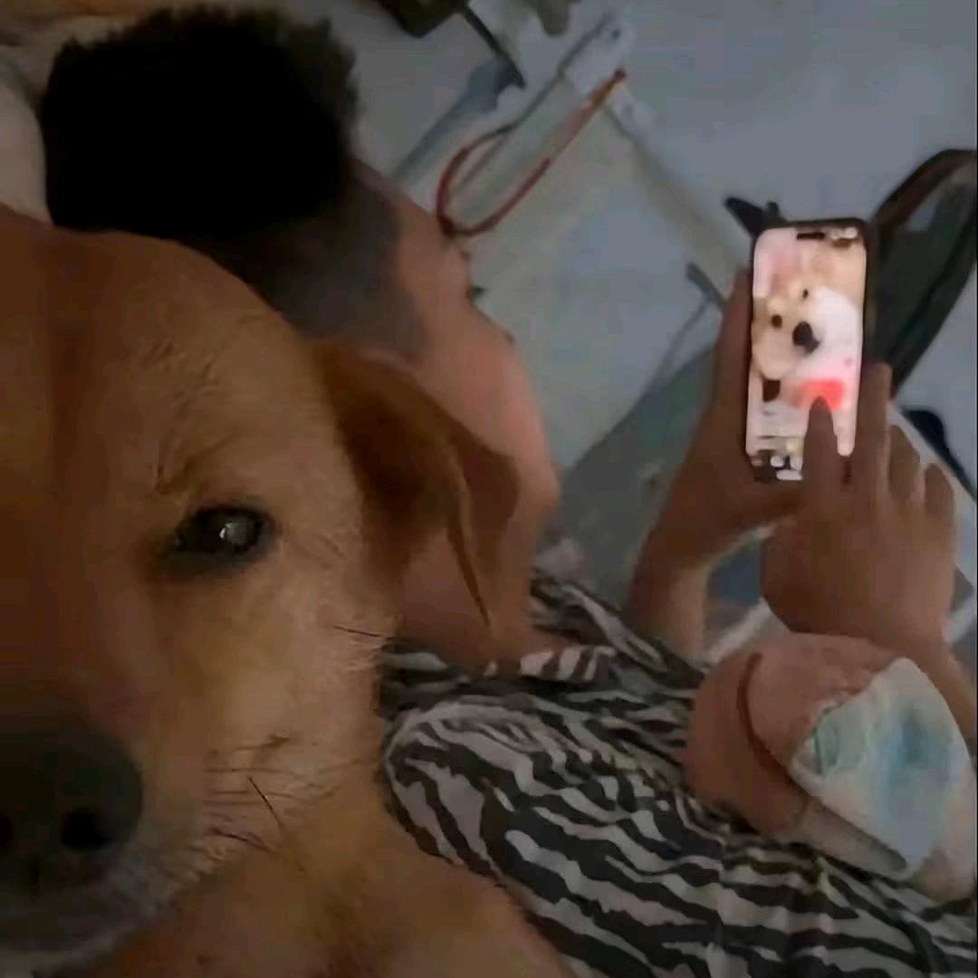 liangzo