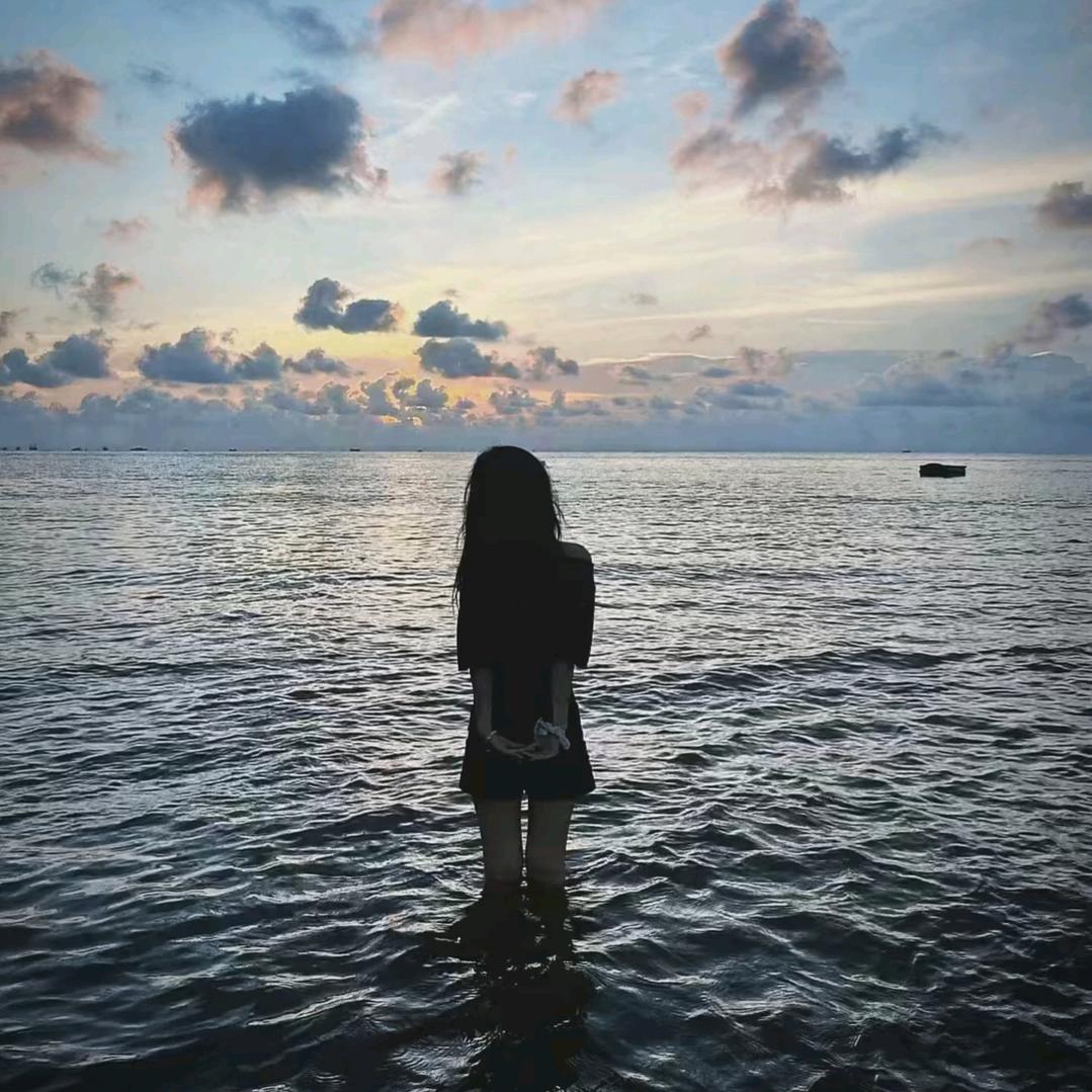 爱永不凋零