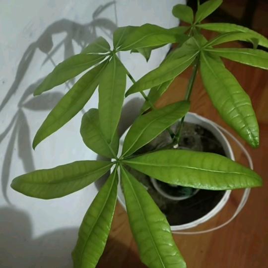 开心快乐每一天