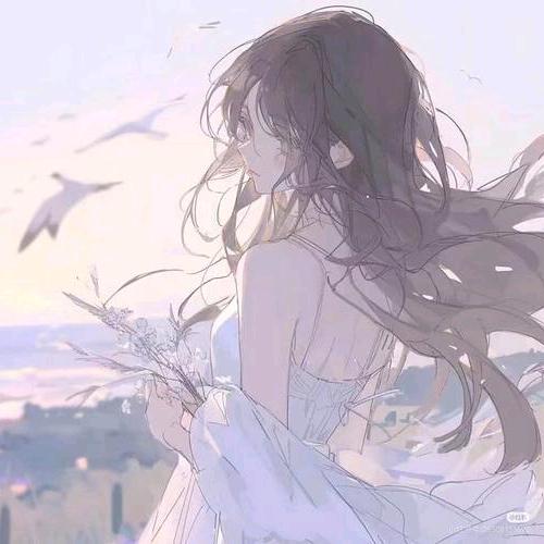 柒小七