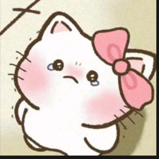 去哪儿都行