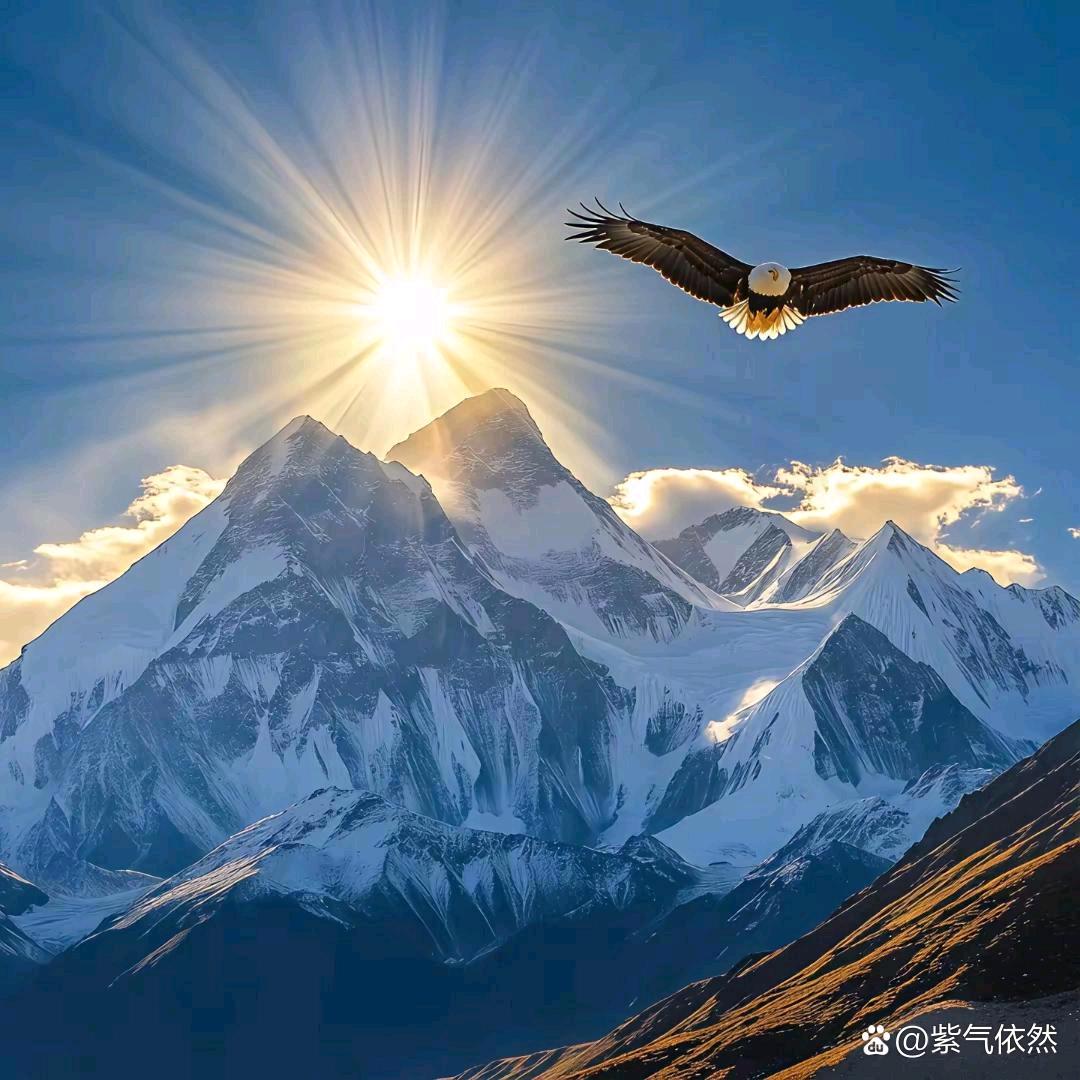 🥀এ᭄封心ꦿ锁💔爱ོ࿐ᩚ