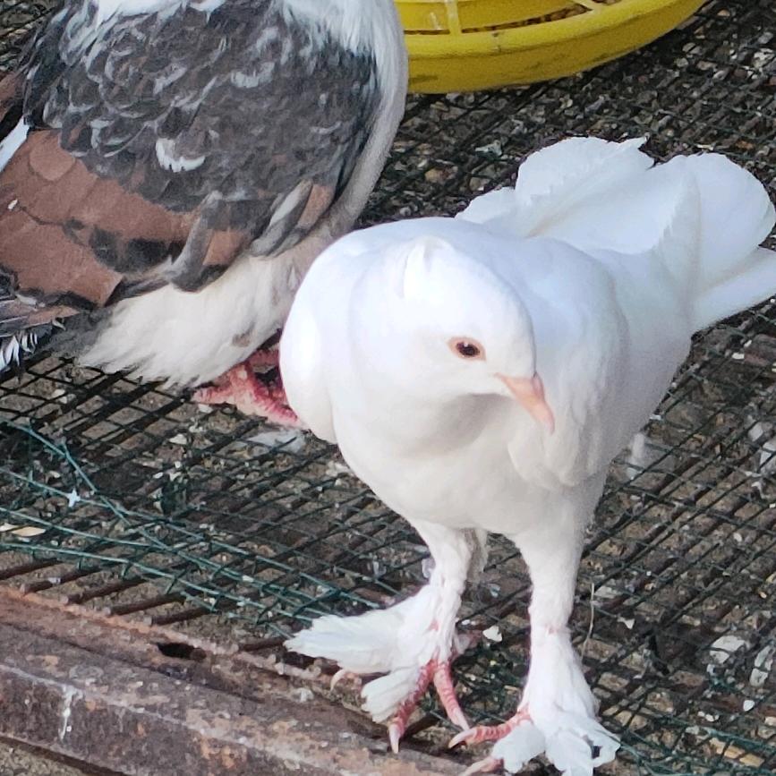 幸福。吃喝玩乐。