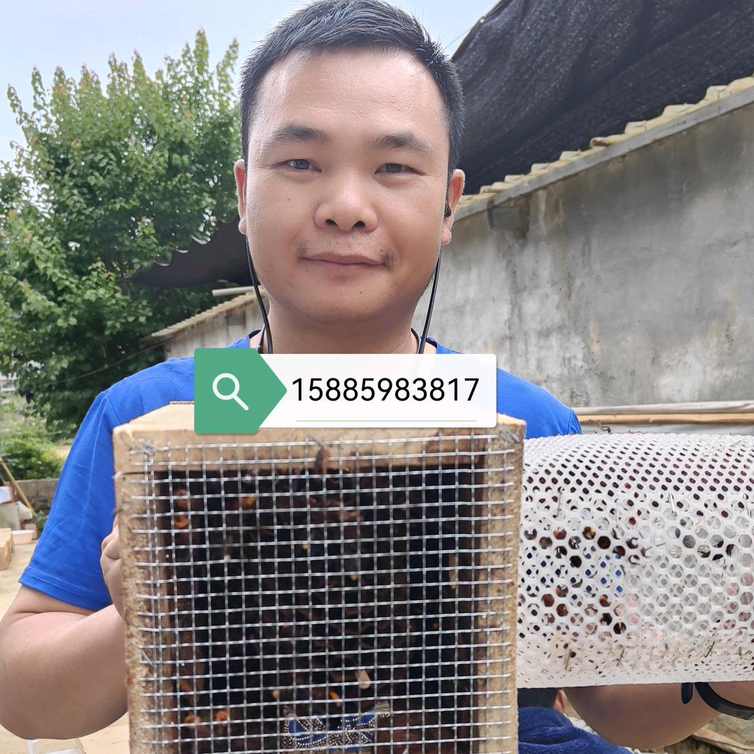 黄阿玛种养特产