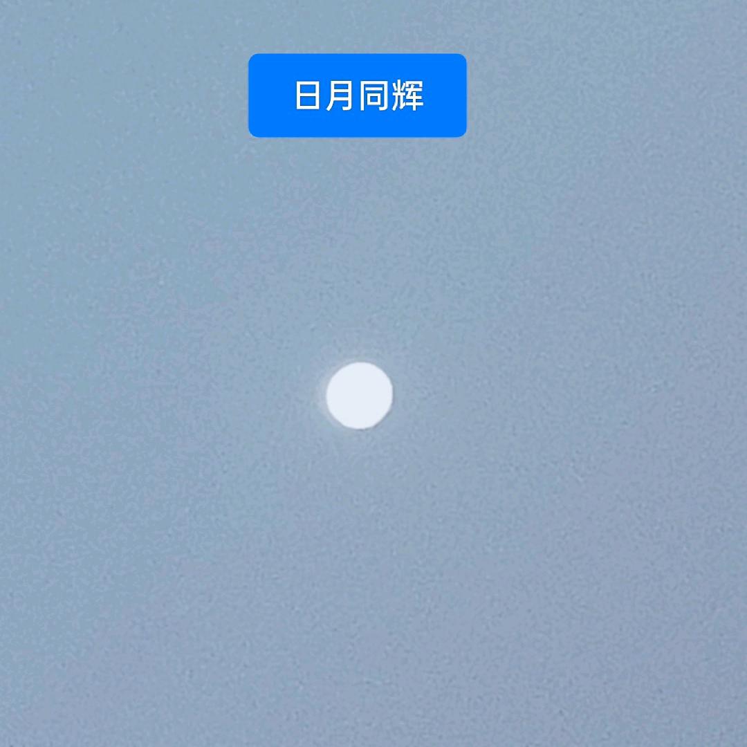 迟到的春天