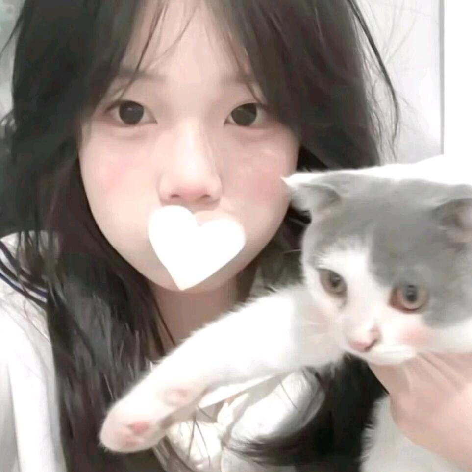 楠桉🥀
