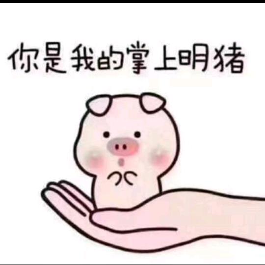 我就是你的掌上明珠头像