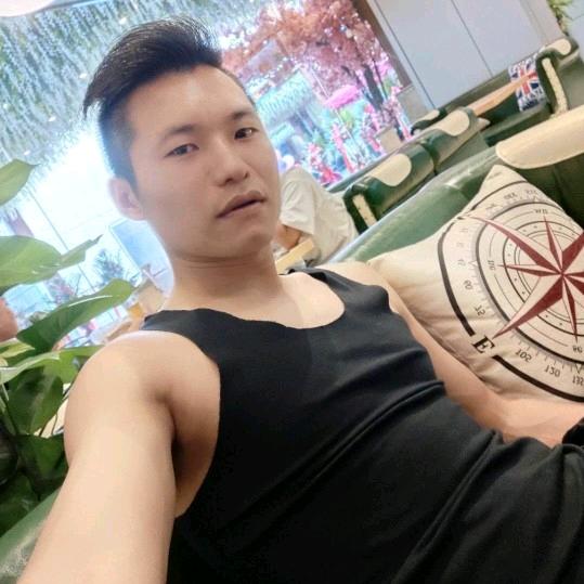 摇摆哥