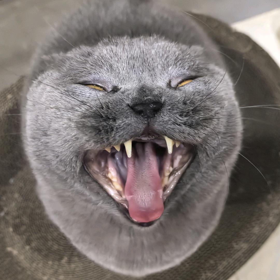 金云🐟