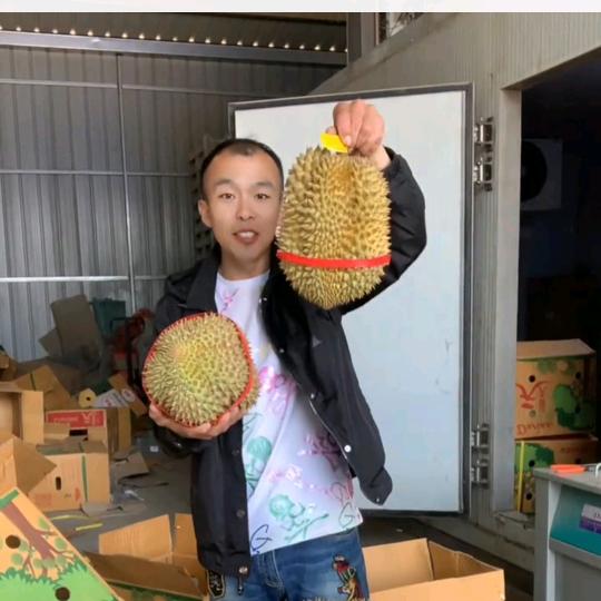 二强  濮阳榴莲大王
