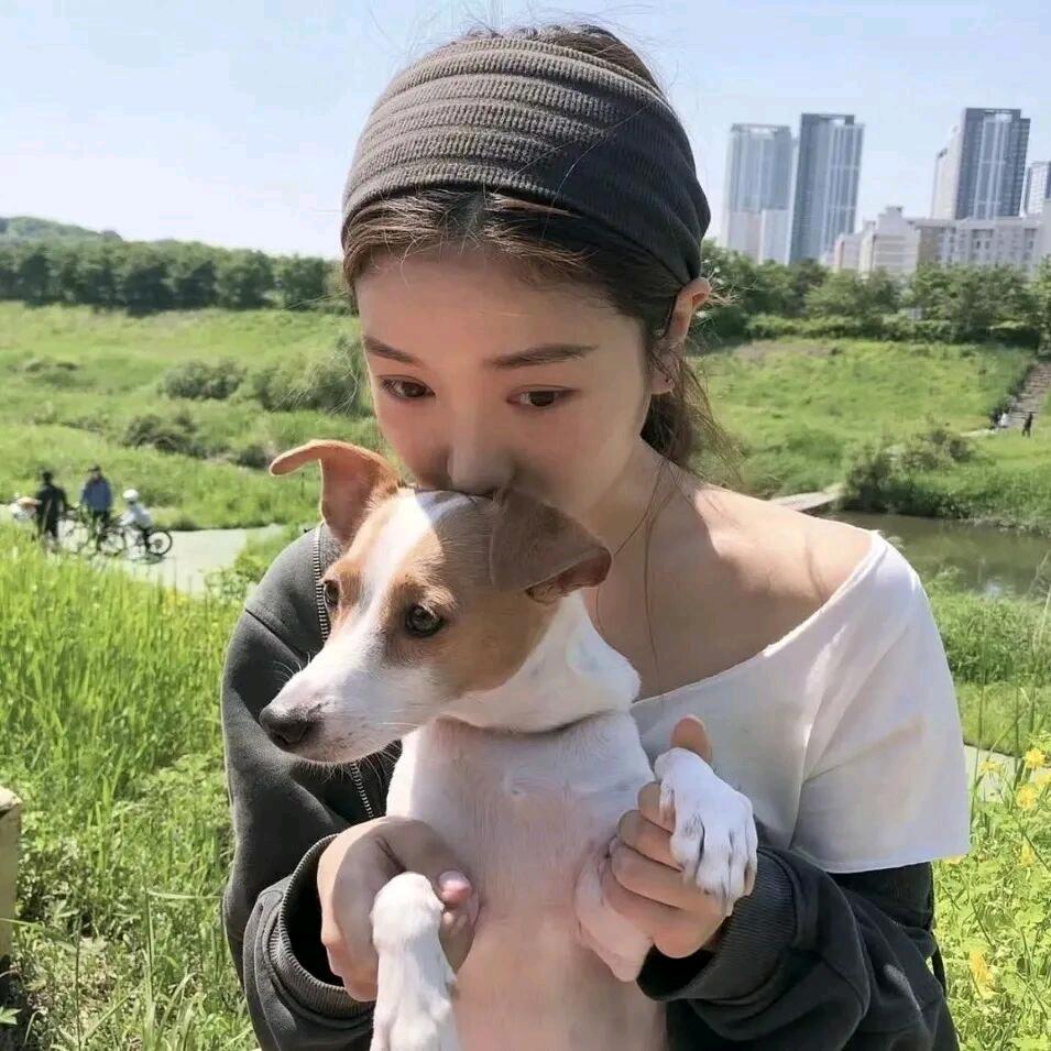 白菜小狗.
