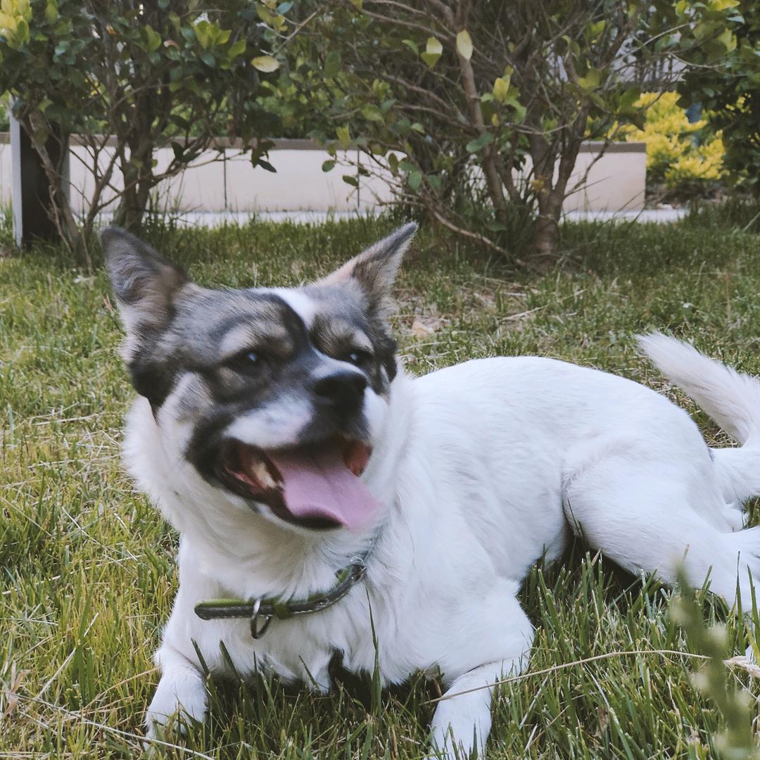 呼啦圈圈圆圆圈圈