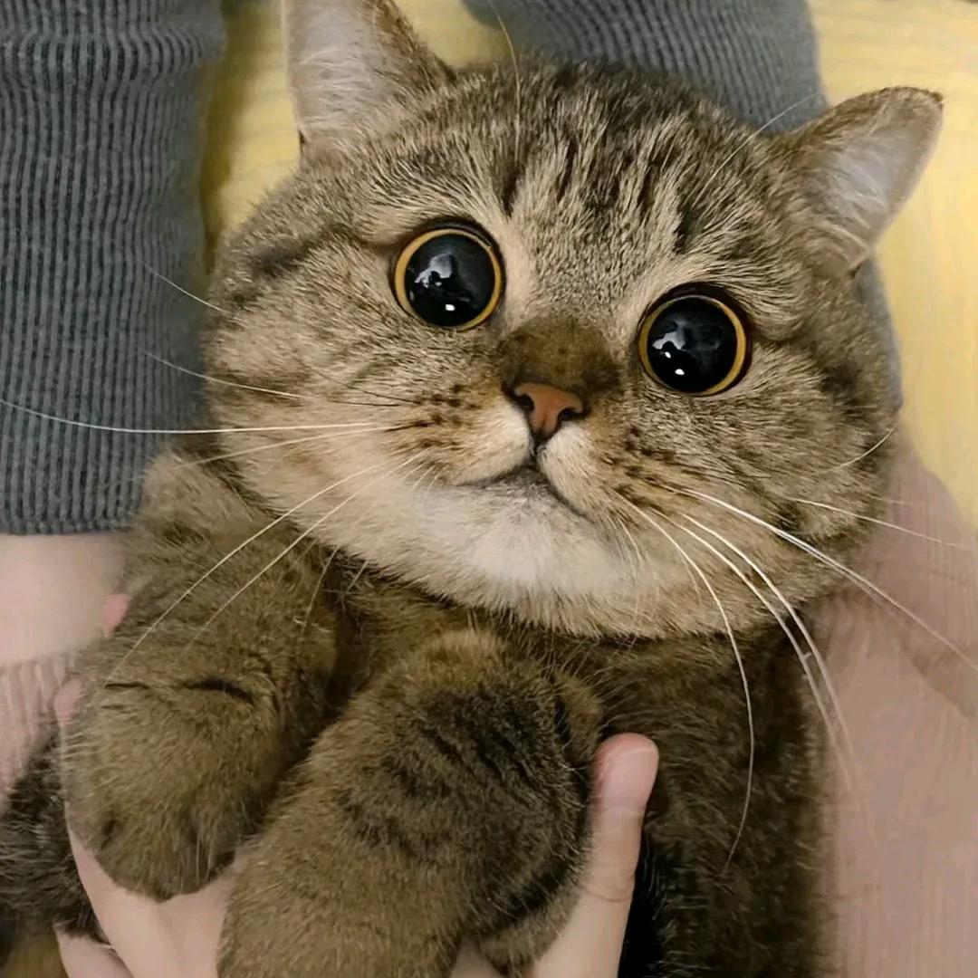 反派自救