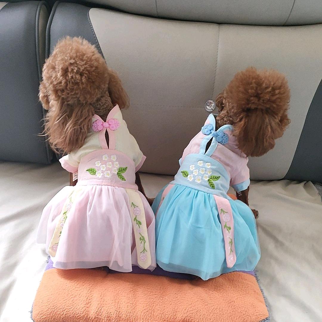 🍎果果🐶哆哆💰