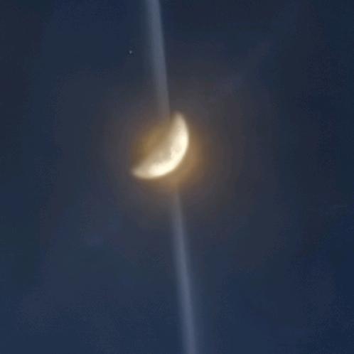 空白格lzq