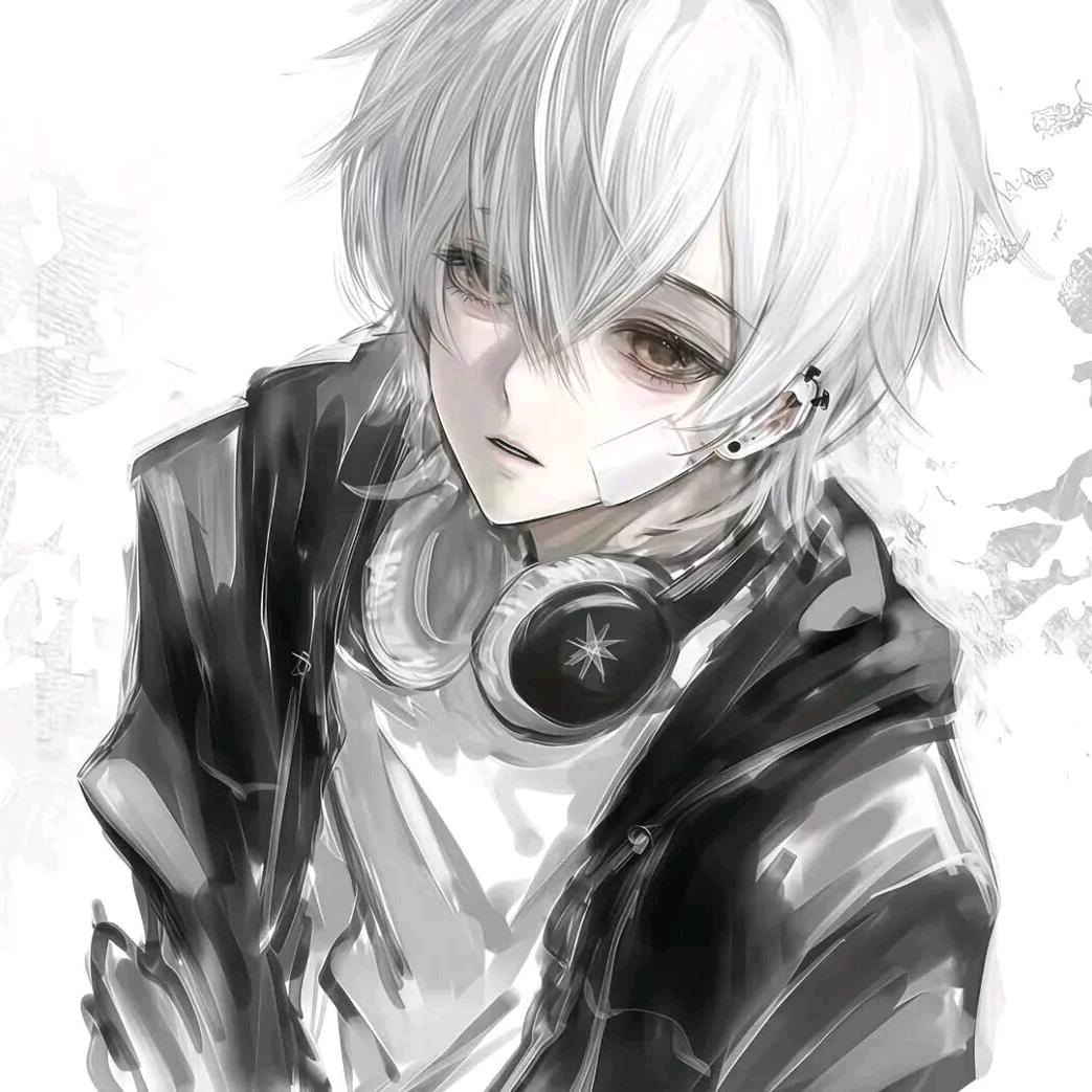 雪月