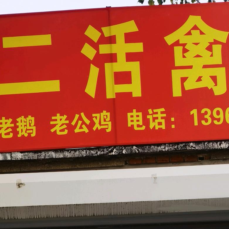 孙二活禽店