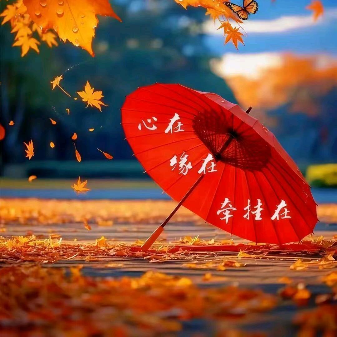 好心晴