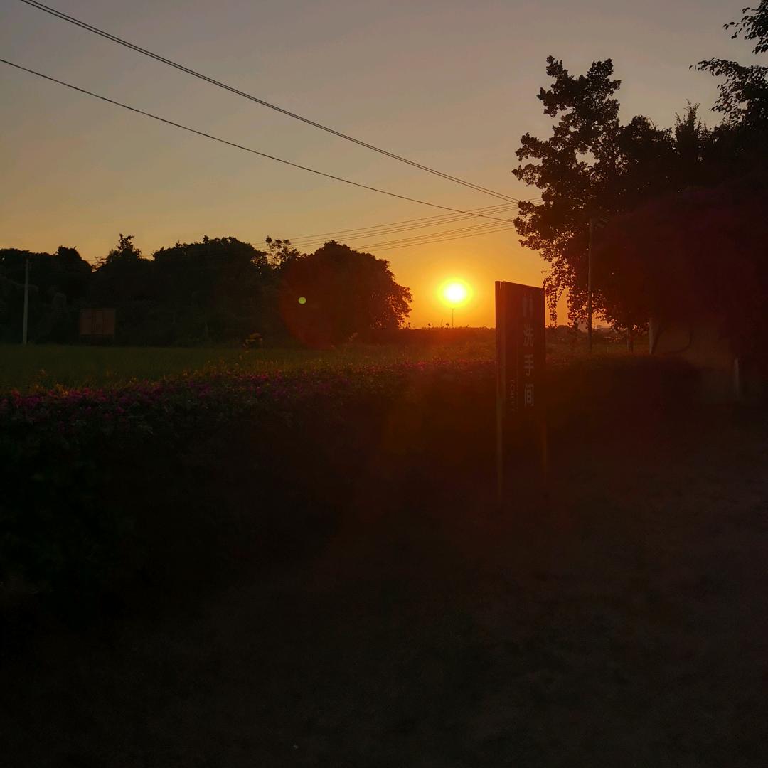 做你的星光🥟⁵²⁹⁹