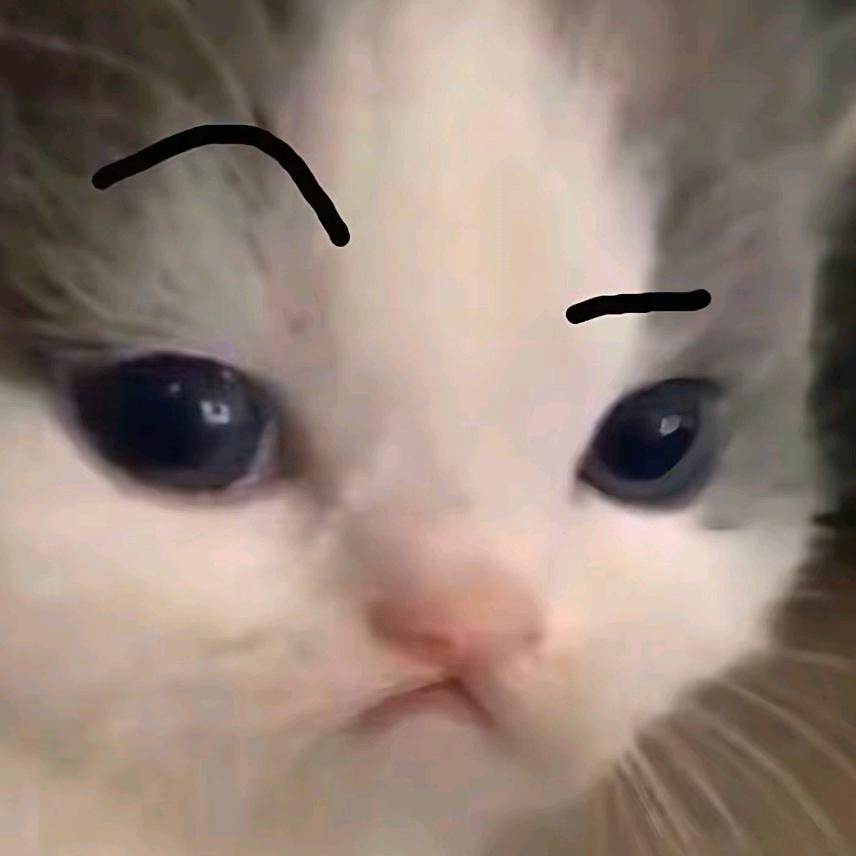 胡图图起六套猛攻狗熊岭