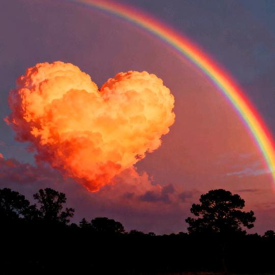 @✨️💞✨️从心开始✨️💞✨