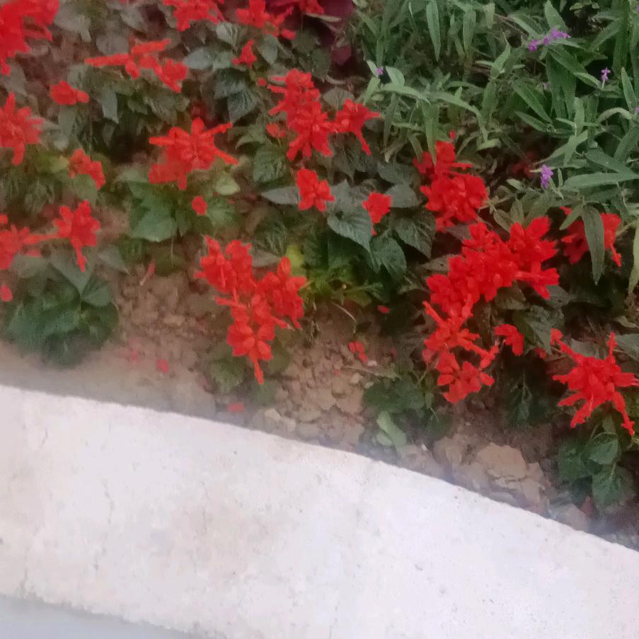 真情见人心❤️