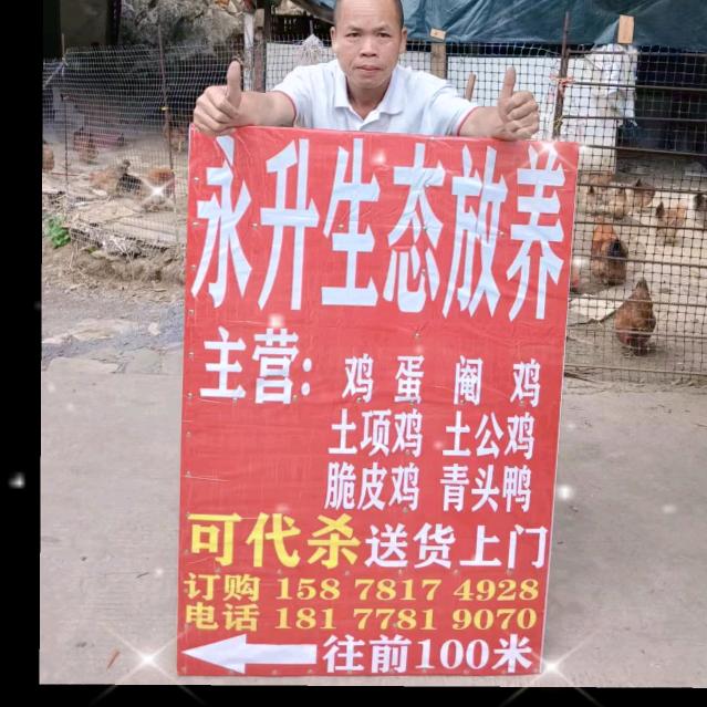 永升生态放养正能量传播