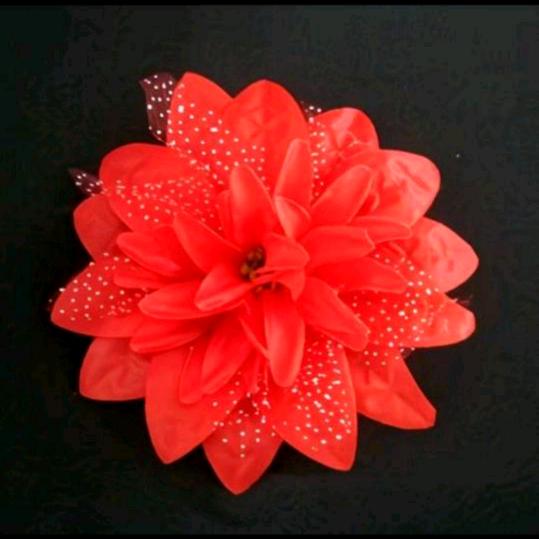 天天快乐❤️❤️