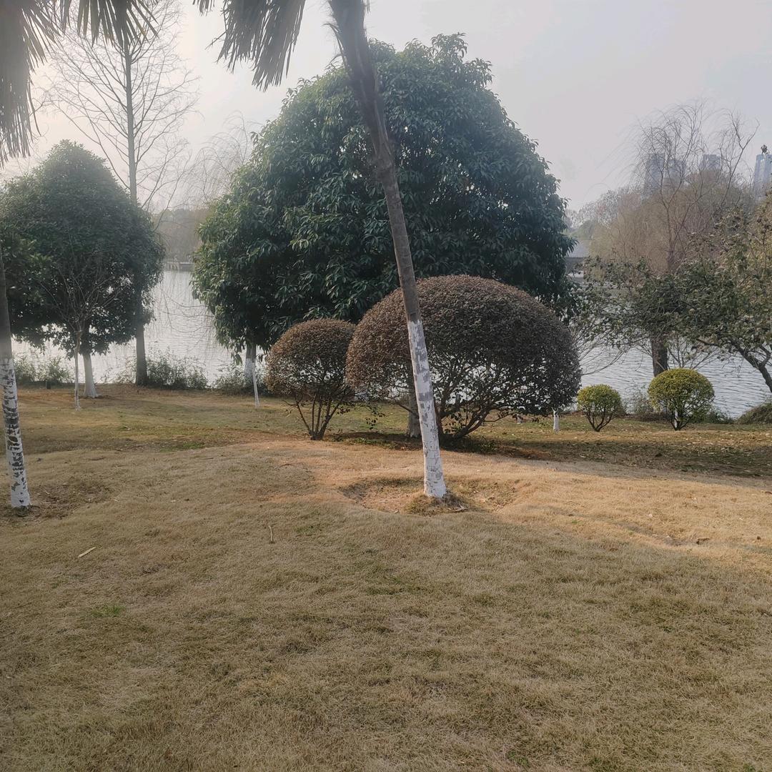 风格派送