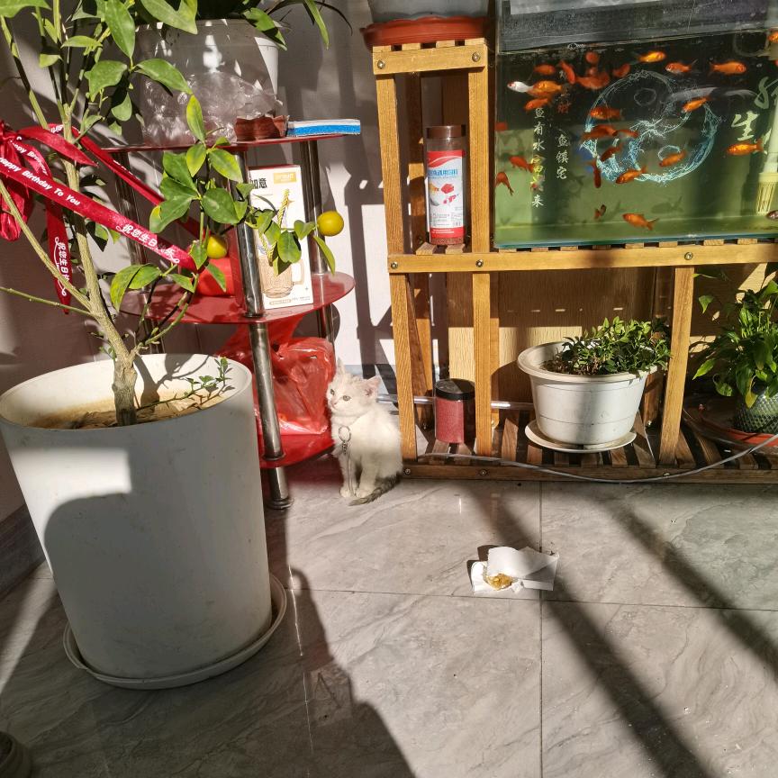 往事如烟俱忘却