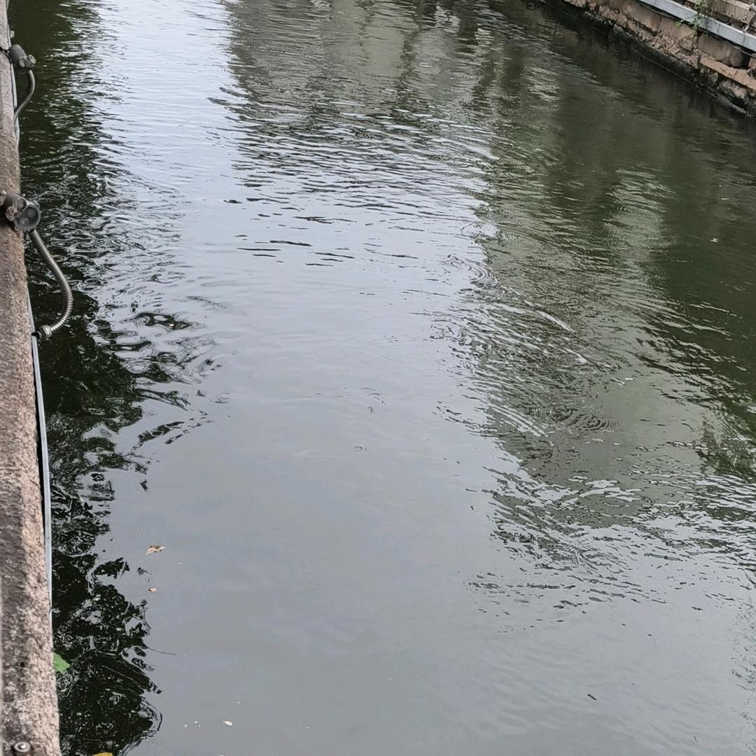 关不羽