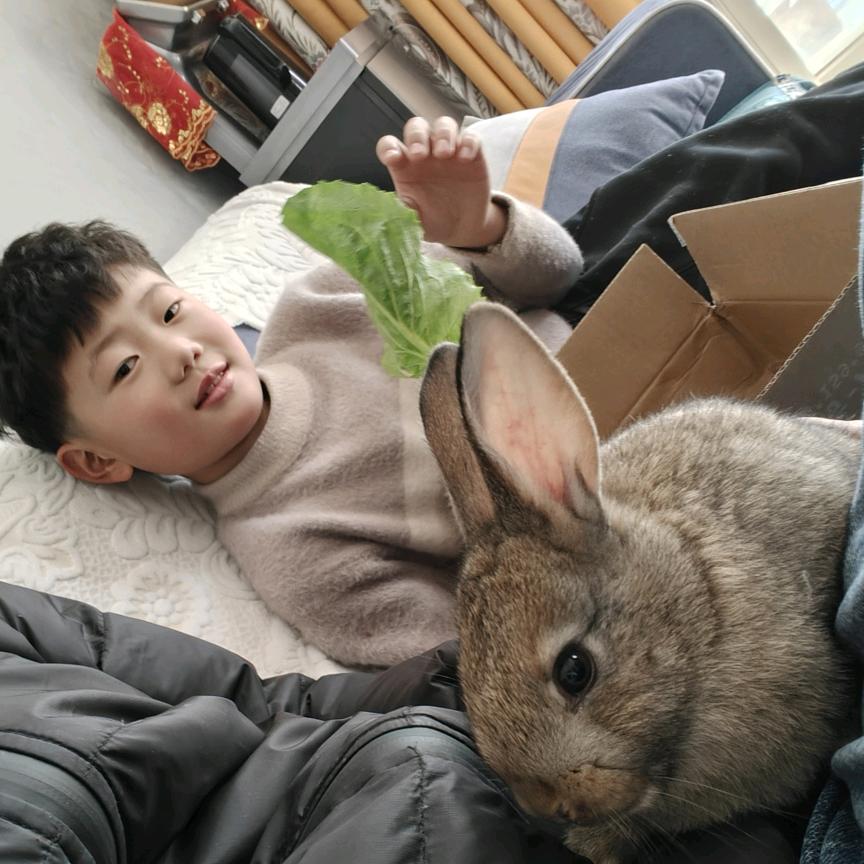 农村出来要饭的