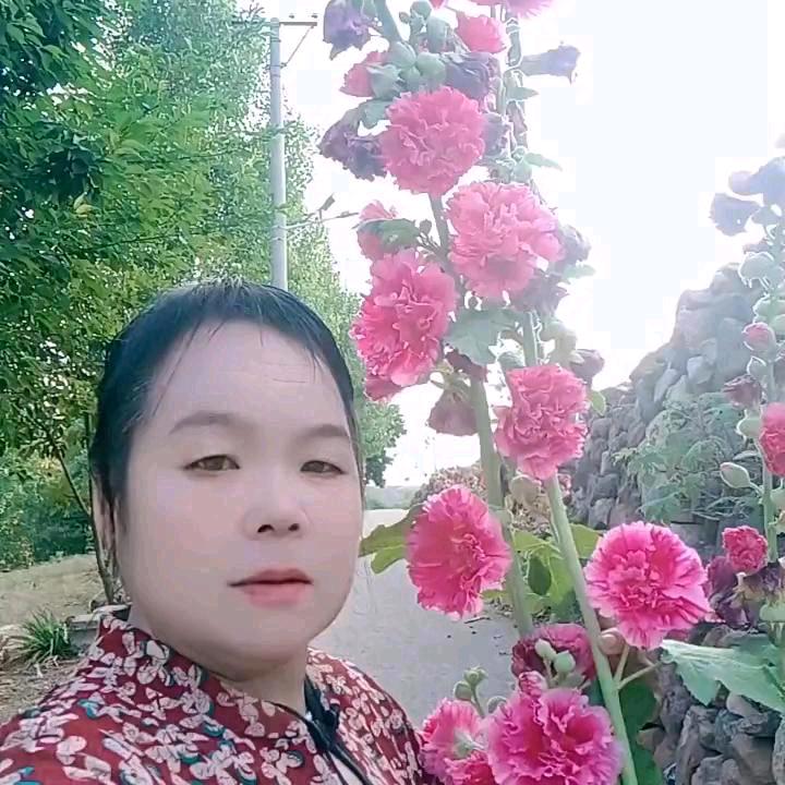 🌹幸福玫瑰🌹