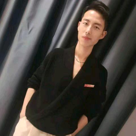 东风奕派飞仔