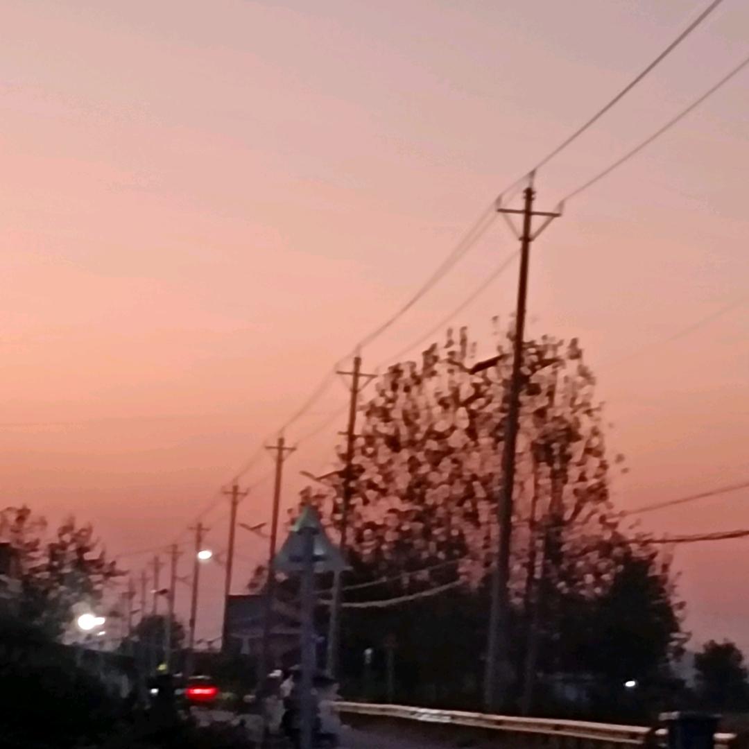 刘树侠