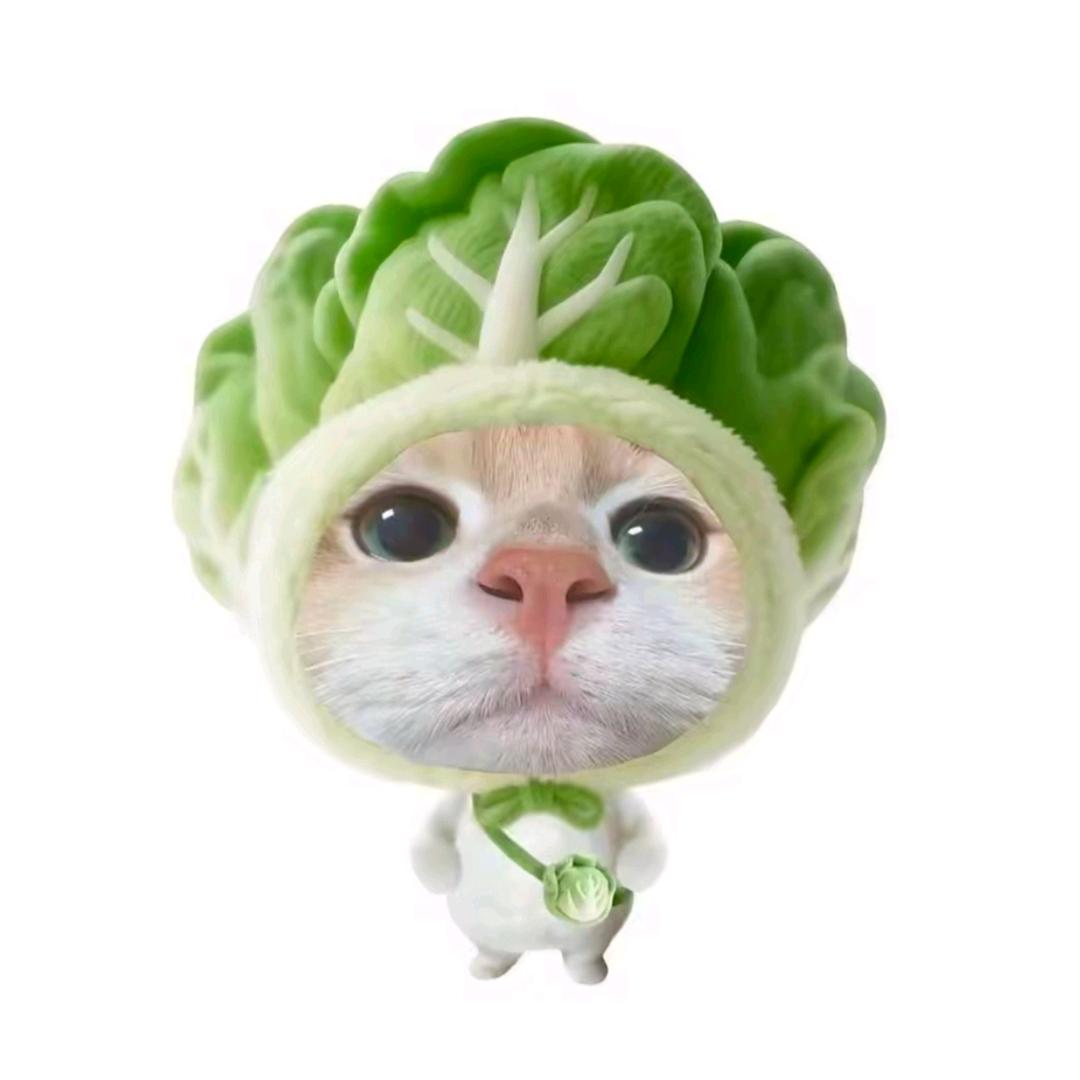 FN金属（自营USM工厂版）