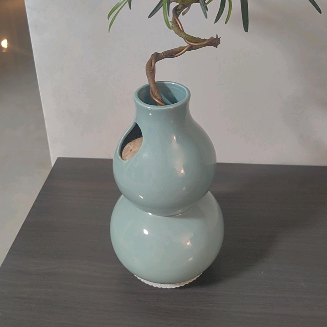 邯郸新世纪珂思刘斌