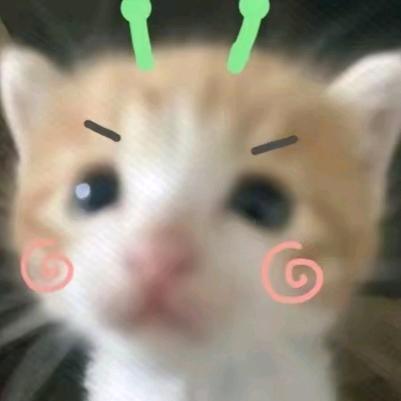 1-晚安小狗^.