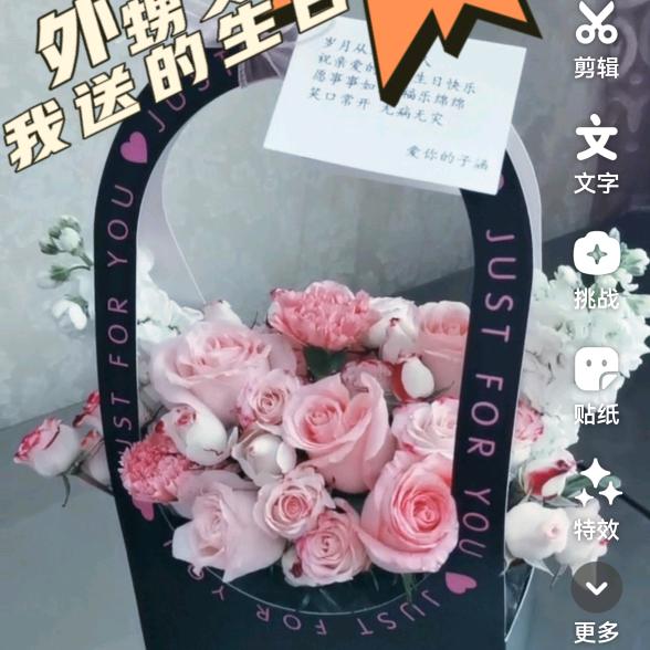 锦簇芙蓉