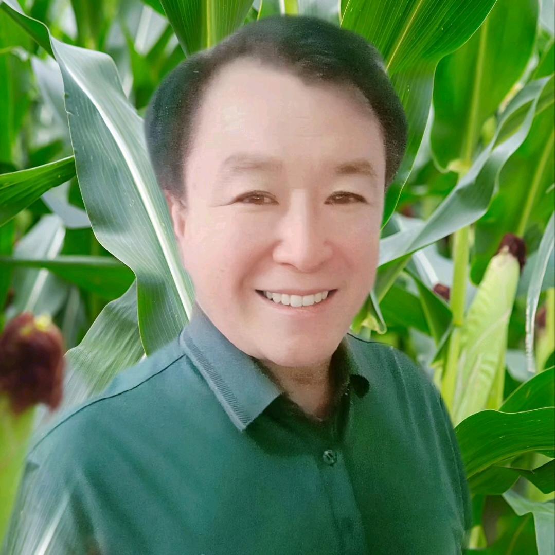 陈哥晚上7点10分直播