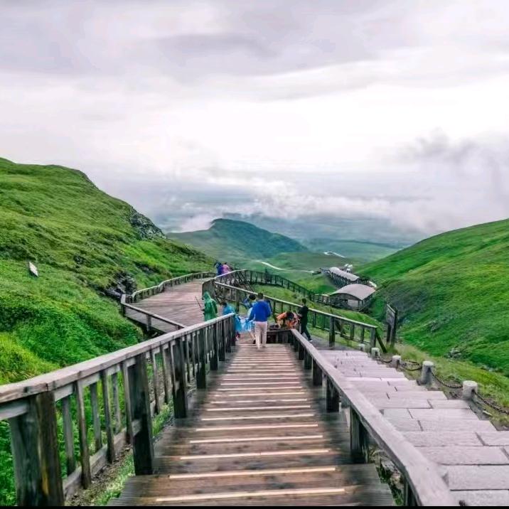 不见花海