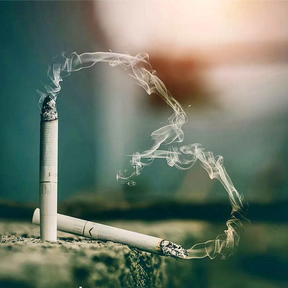 不离不弃，生死相依