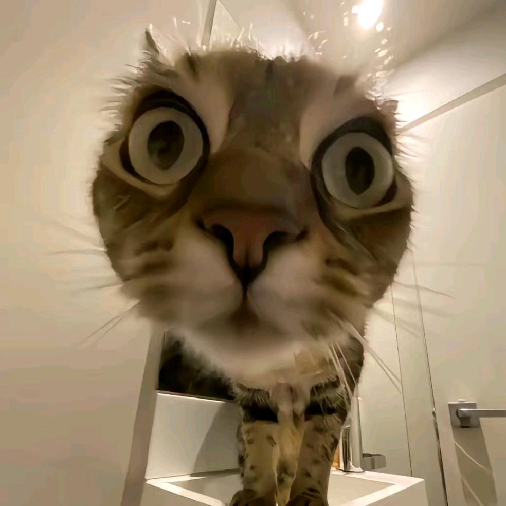 95