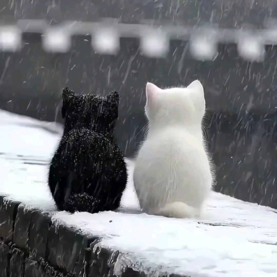 路的尽头终是路