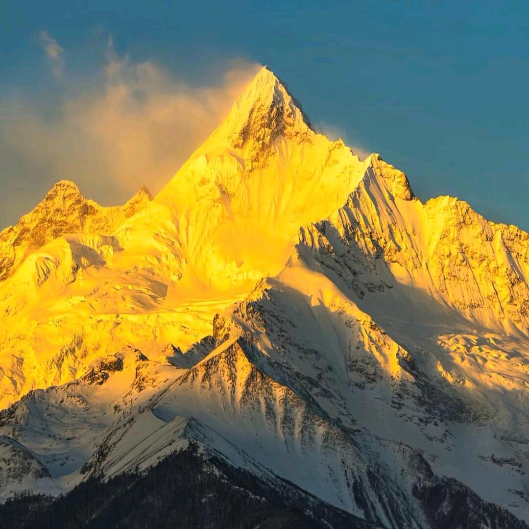 你好，在石岛卖鱿鱼的小胡