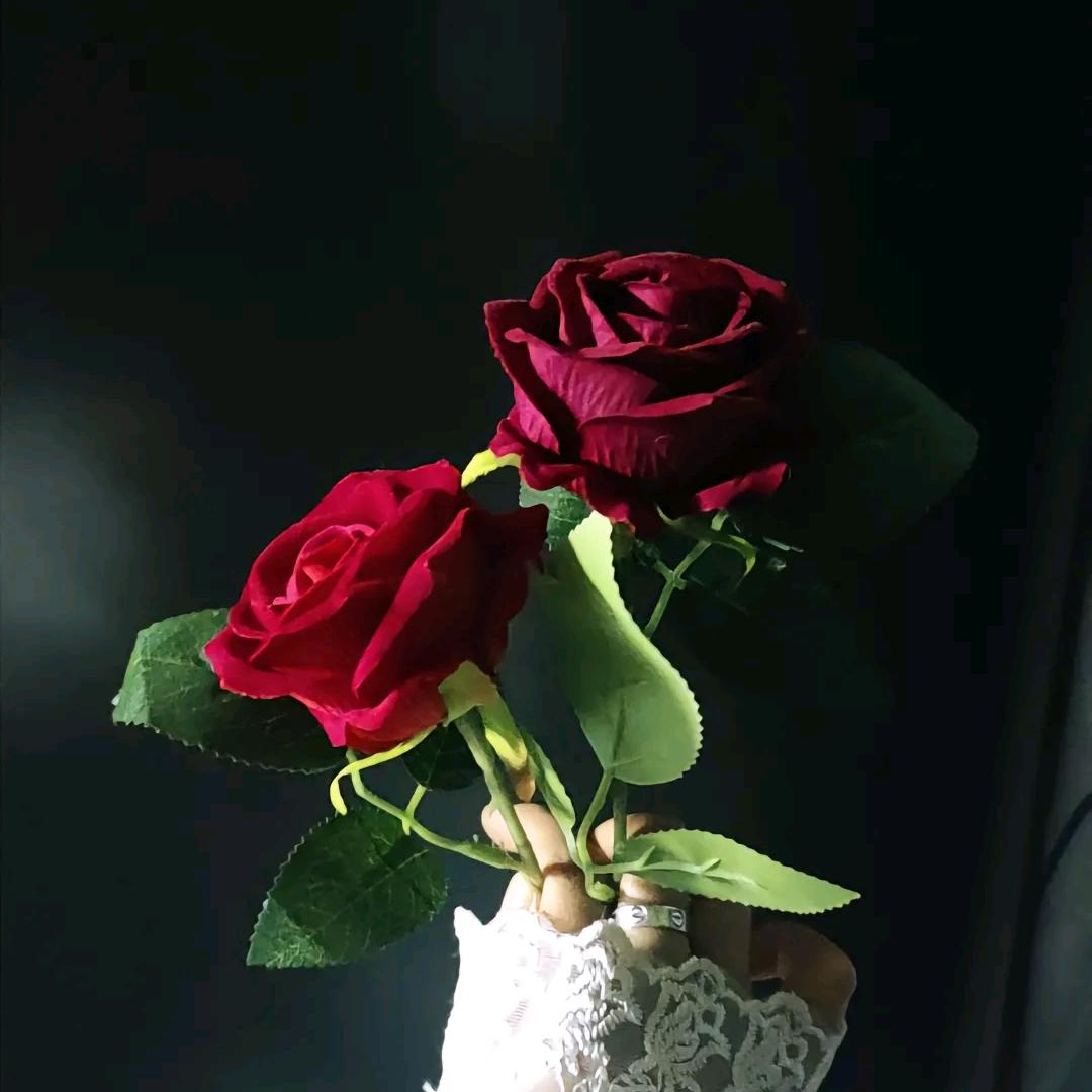 单亲妈妈。带2个女儿，芯宝-十芷宝，，